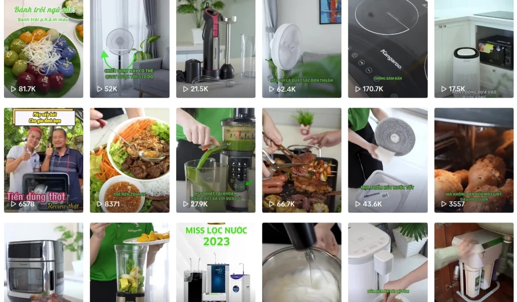 Kangaroo TikTok kitchen appliance videos
